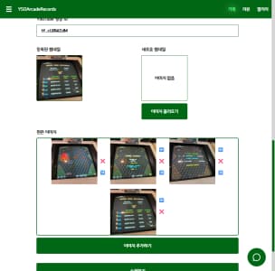 YSOShmupRecords 기록 폼 하단 부분